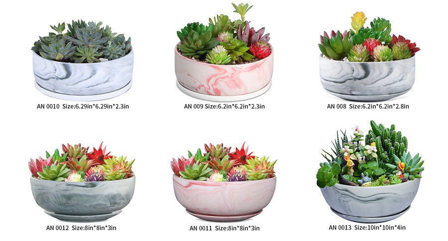 6 marble succulent planters in different size are placed in two rows. There pink and white colors displayed 