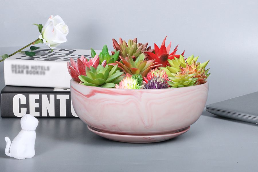 Pink marble succulent planter with flowers is on the desktop beside the books, rose and white plastic cat.