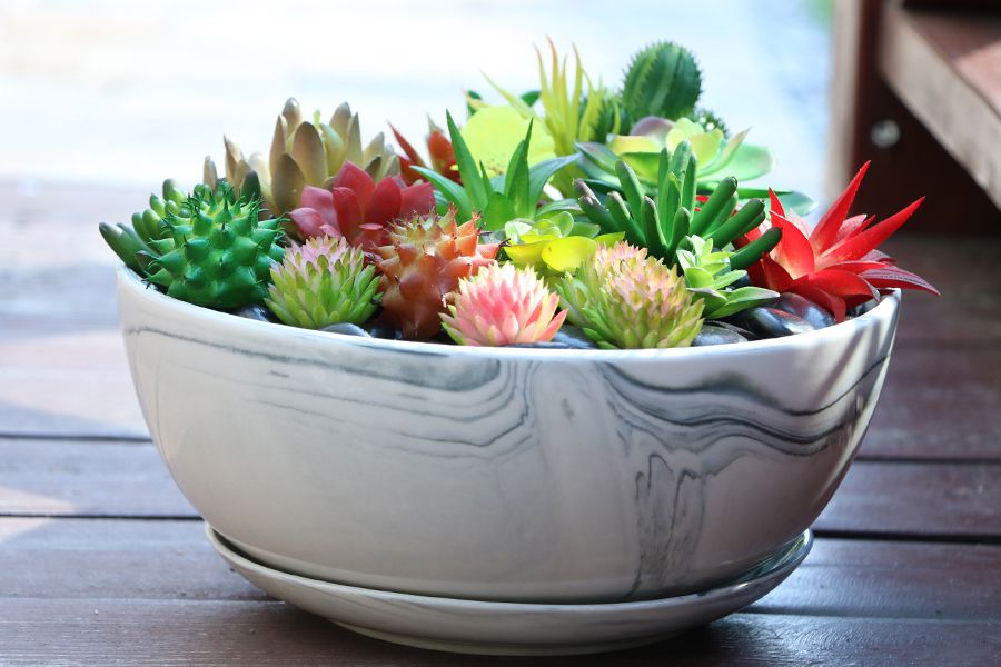 A white marble succulent planter with kinds of succulent is put on the desktop