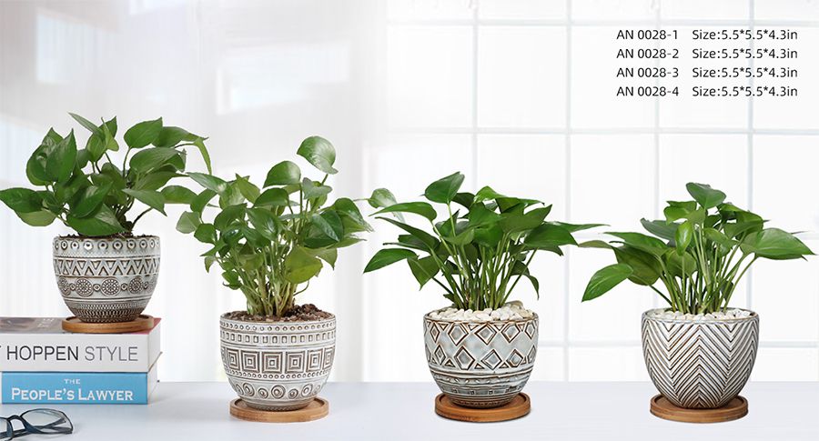 Four geometric plant pots are placed on the desk