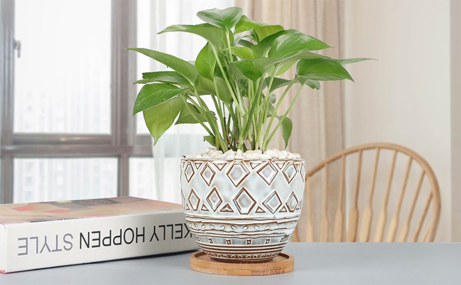 A geometric plant pot is placed on the desktop beside the book
