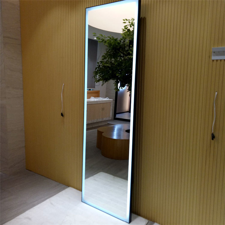 Full Body Mirror with LED Lights