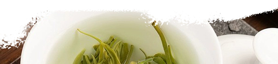 Bi Luo Chun/ Green Snail Spring Tea-