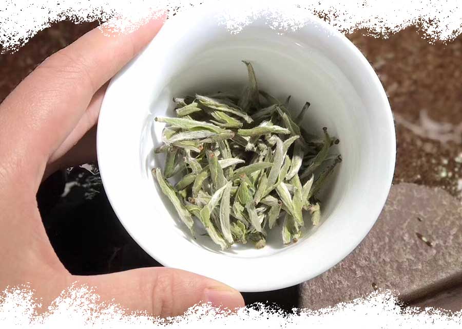 Jasmine Silver Needle Fu Jian White Tea-