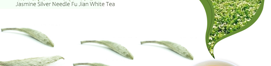 Jasmine Silver Needle Fu Jian White Tea-