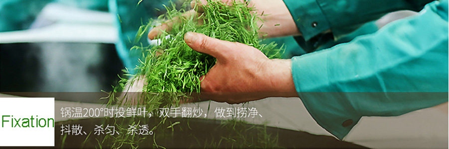 Organic Fujian Mao Feng Criss Cross Green Tea-