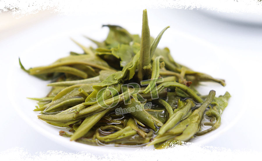 Organic Fujian Mao Feng Criss Cross Green Tea-