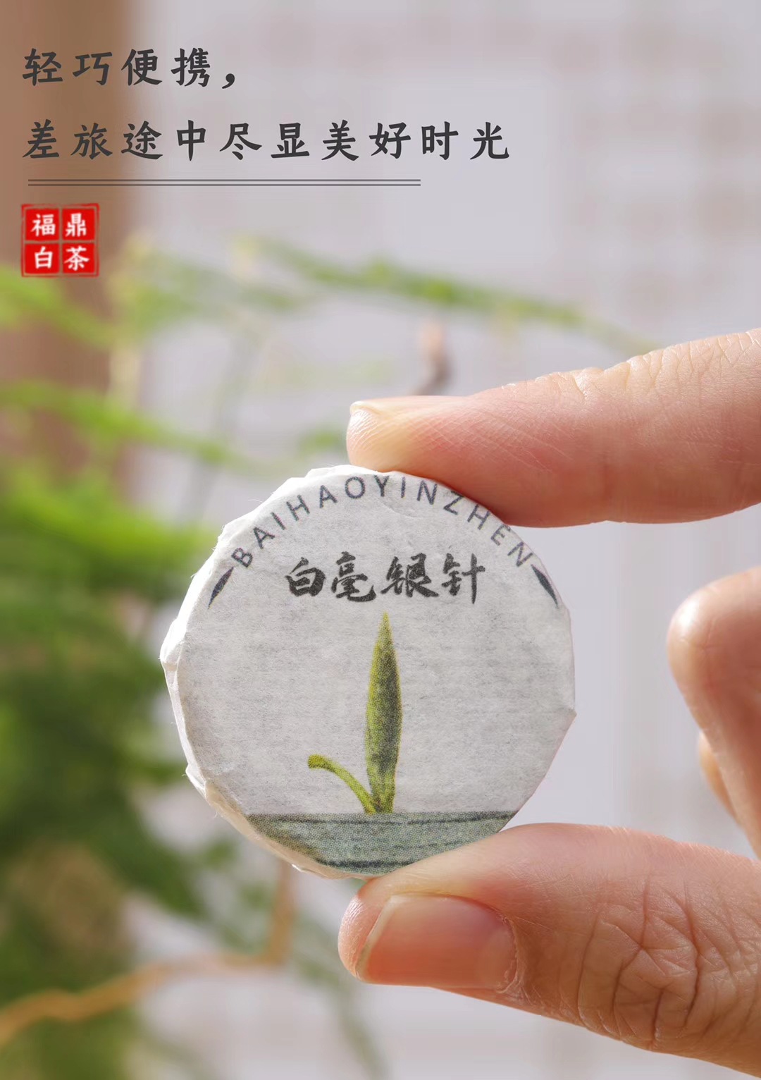 Compressed white tea silver needle bai hao yinzhen mini cake tuo cha 5g-