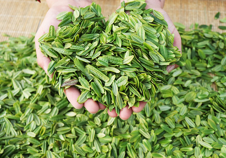 Lu An Gua Pian/ Lu An Melon Seed Green Tea-